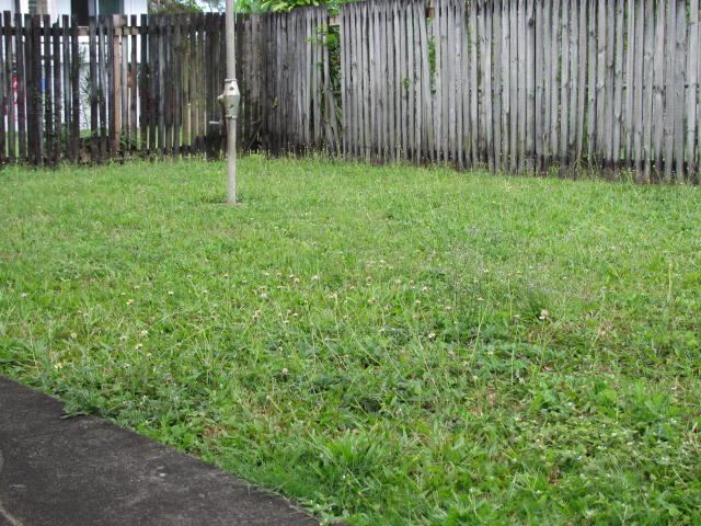 Scoob's Grass and Garden Care