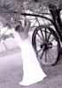 Sandis Precious Moments Photography