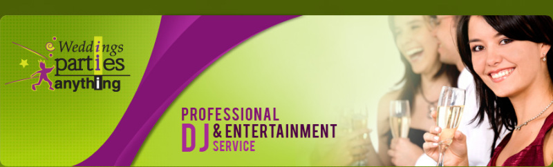 Weddings Parties Anything Professional DJs