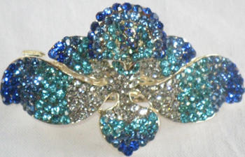 BelleAi Accessories