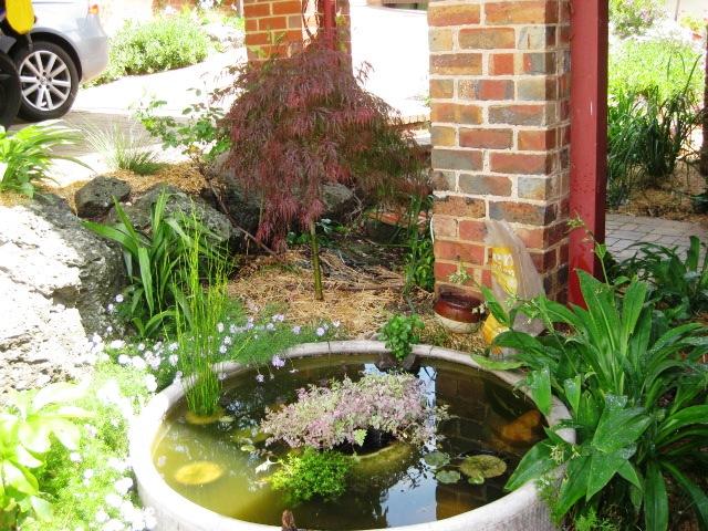 Serenas Secret Gardens