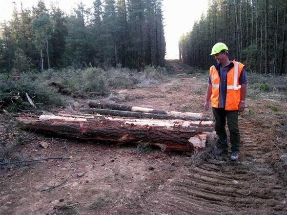Jamax Forest Solutions