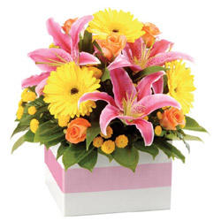 Blooming Gorgeous