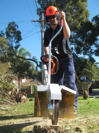 Access Stump Grinding