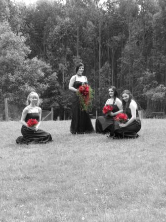 Anthony T Reynolds Photographics