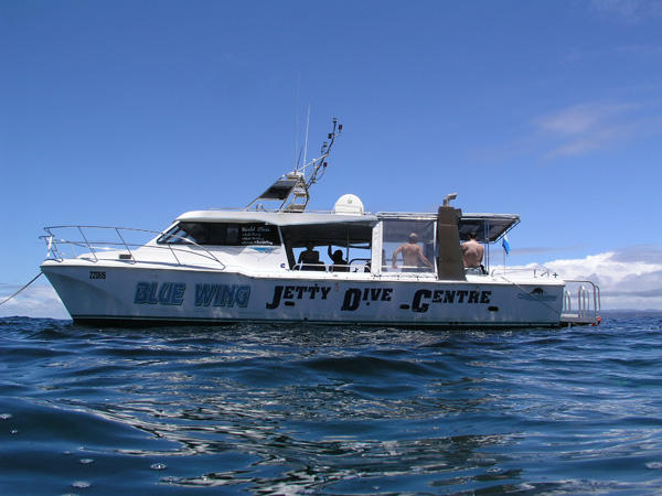 Jetty Dive