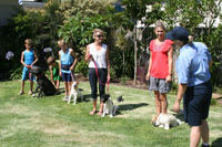 Top Dog Academy