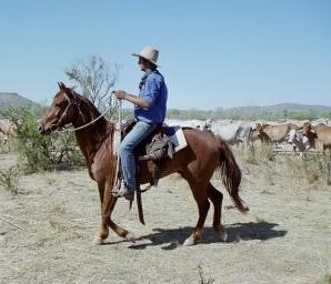 AG Workforce