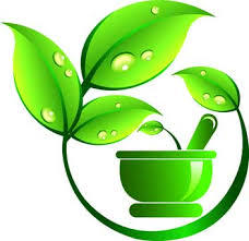 Naturopath Solutions logo