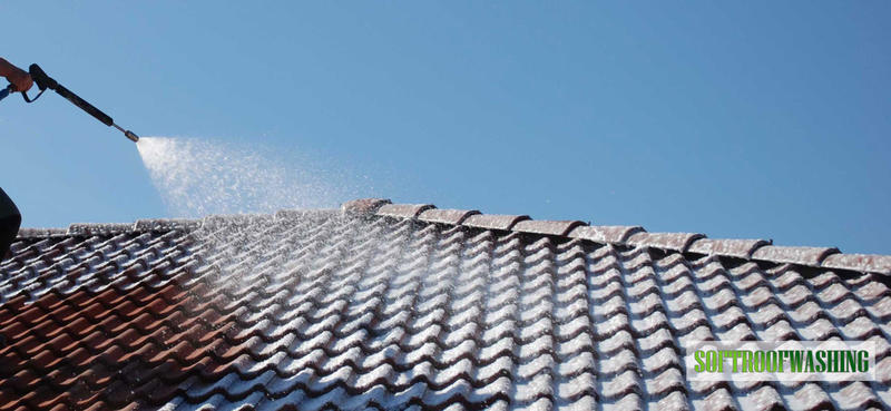 Soft Roof Washing