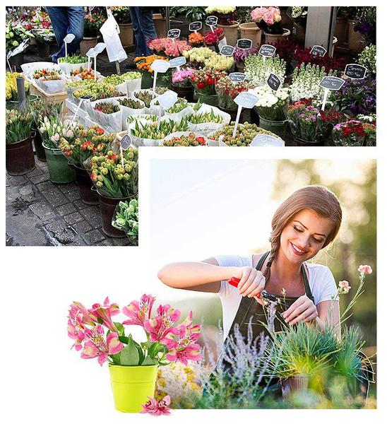 Flower Hub