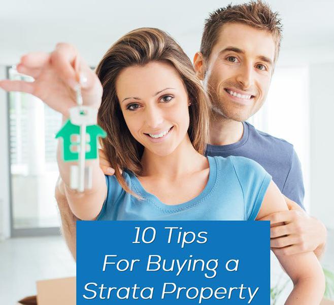 Starta Pulse Reports & Consulting