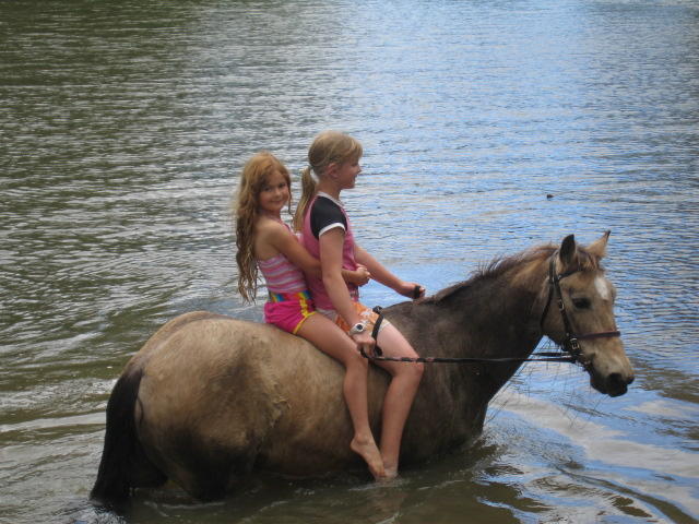 Willowin Homestead Horse Riding