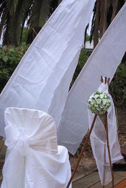Just Say I Do