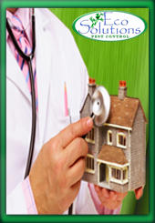 Eco Solutions Pest Control