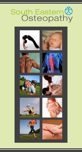 South Eastern Osteopathy