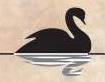 Seal Effect logo