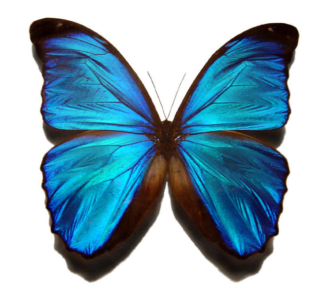 Your Energies in Harmony