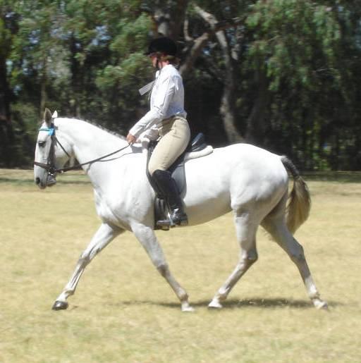 Rivanna Riding School
