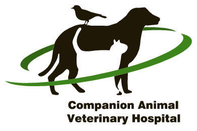 Companion Animal Veterinary Hospital