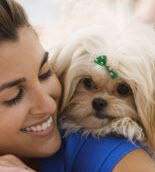 Bubbles and Wags Dog Grooming