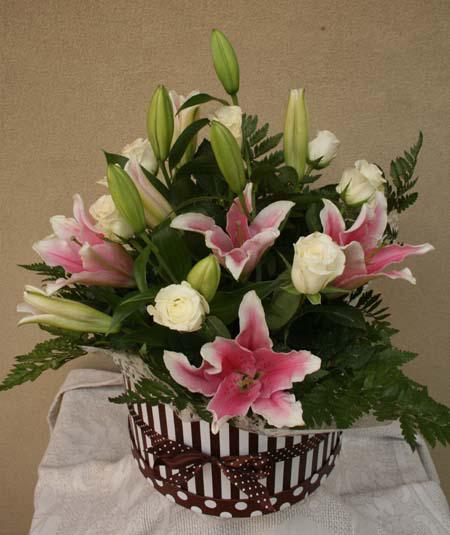 Creative Blooms