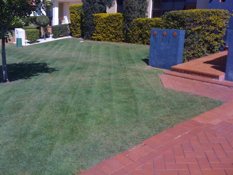 Banyo Mowing
