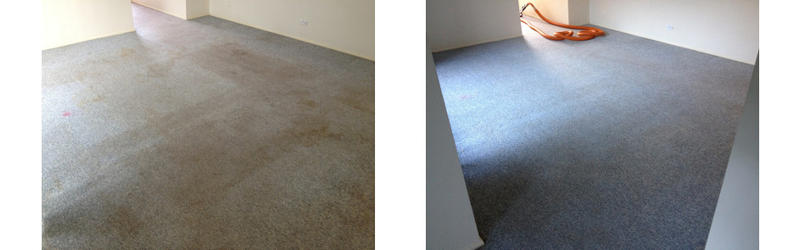 Mighty Clean Carpet: Kingswood