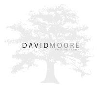 David Moore Photography