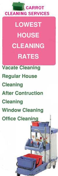 Carrot Cleaning Services: Rockingham