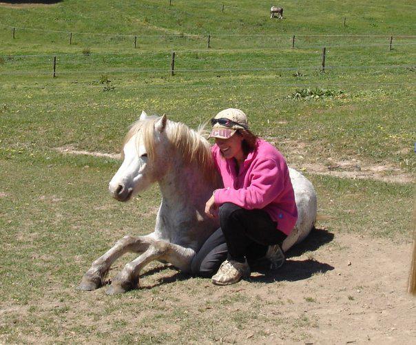 My Little Party Pony