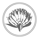 Artemisia Natural Therapies