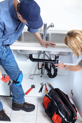 Poo-fection Plumbing