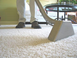 Advanced Carpet Care and Pest Control