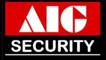 AIG Security logo