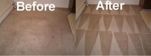 Nice Cleaning