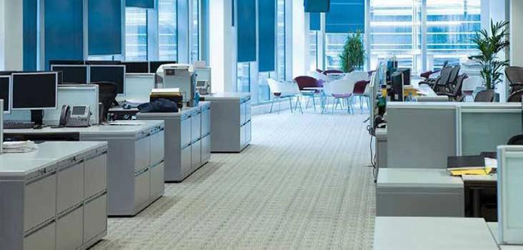 Magna-Dry Services: Springfield Lakes