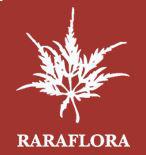 Raraflora