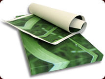 Genius Printing: Richlands