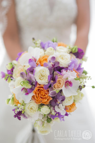 Carla Tayler Photography