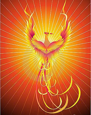 Phoenix Digital Marketing