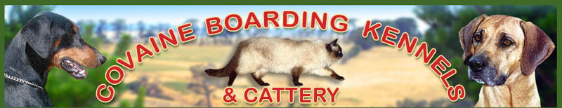 Covaine Boarding Kennels & Cattery