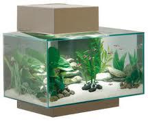 Penrose Garden and Aquarium