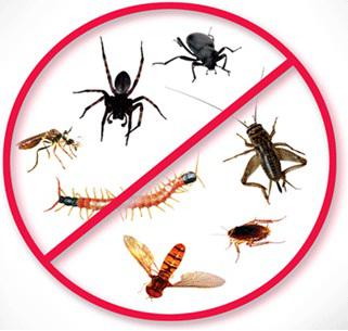 Super Pest & Termite Controllers