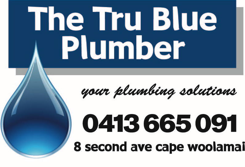 The Tru Blue Plumber