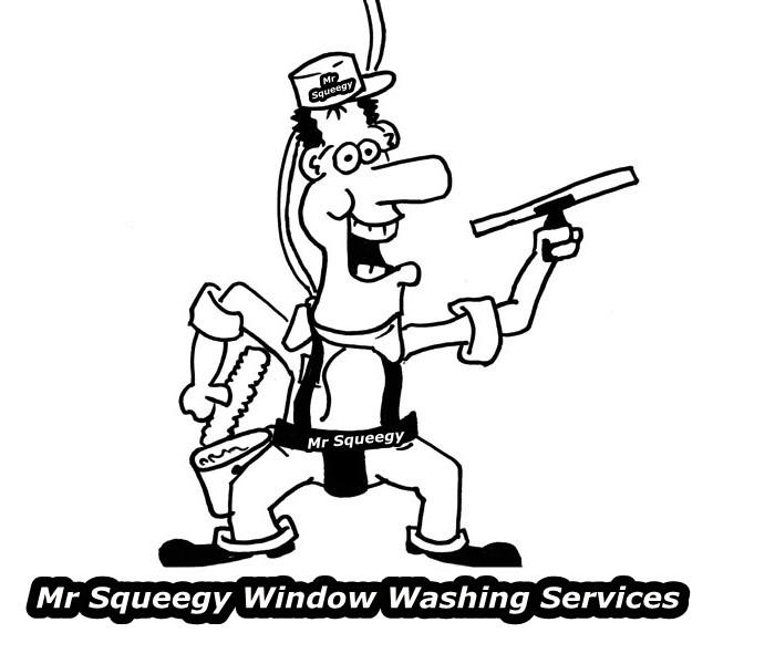 Mr Squeegy Window Washing Services