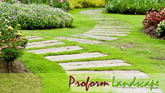 Proform Landscape