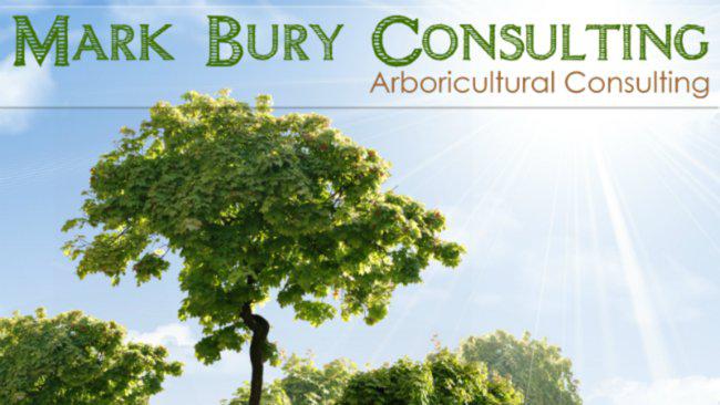 Mark Bury Consulting