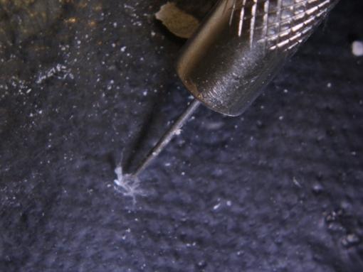 Asbestos Check: Blacktown