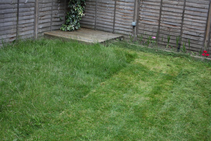 Gardeners Clayton